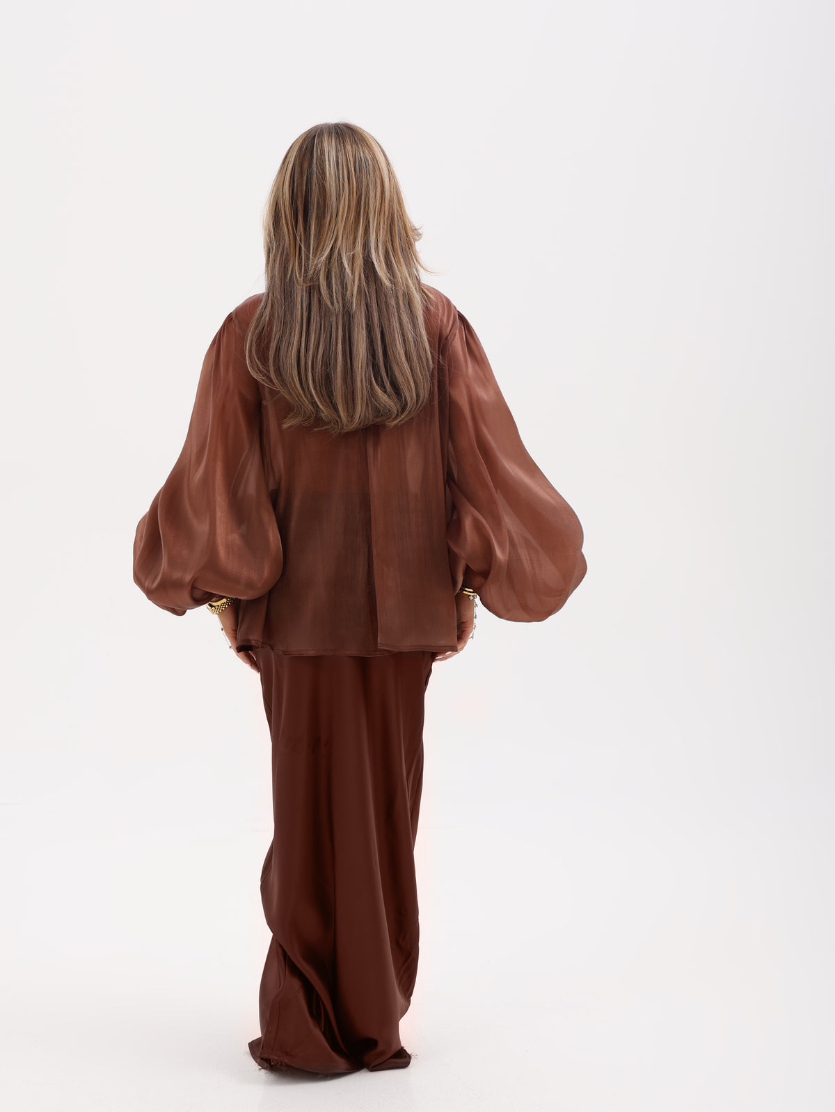 Balloon Sleeve Organza Blouse