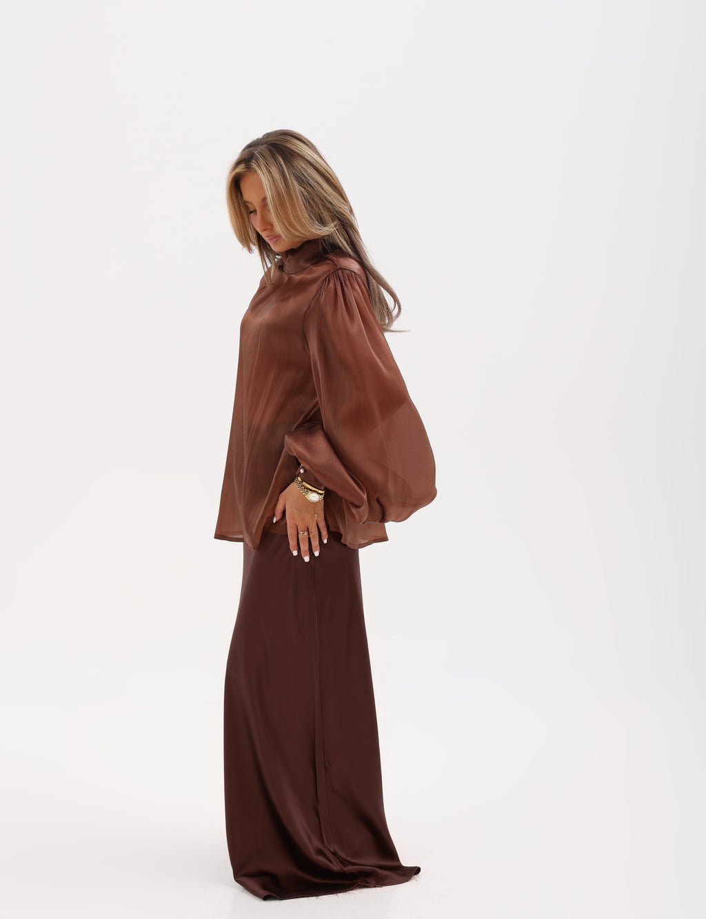 Balloon Sleeve Organza Blouse